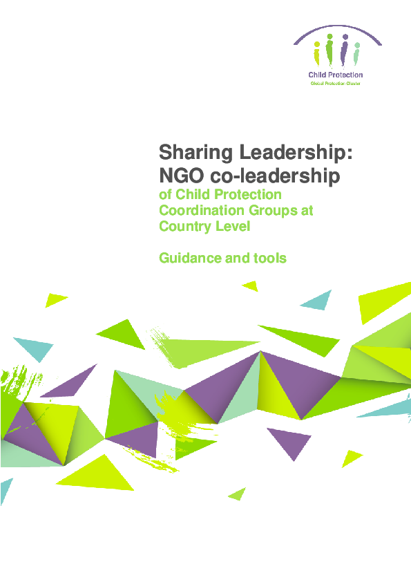 NGO Co-leadership_Guidance and tools 2016_0.pdf_2.png